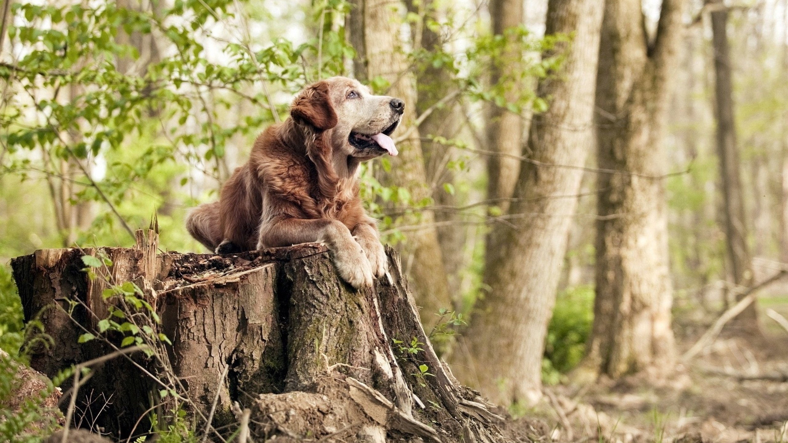 _游泳池派对：夏日清凉运动盛会_，泳池派对活动策划方案