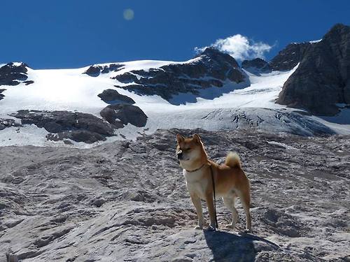 “多场景模拟与AI战术预判,未来对抗将更加智能化和科学化”,场景模拟app