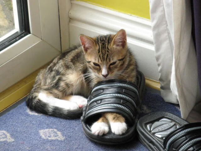 《《堡垒之夜》推出春节主题特别皮肤,吸引群众关注》,端游堡垒之夜活动