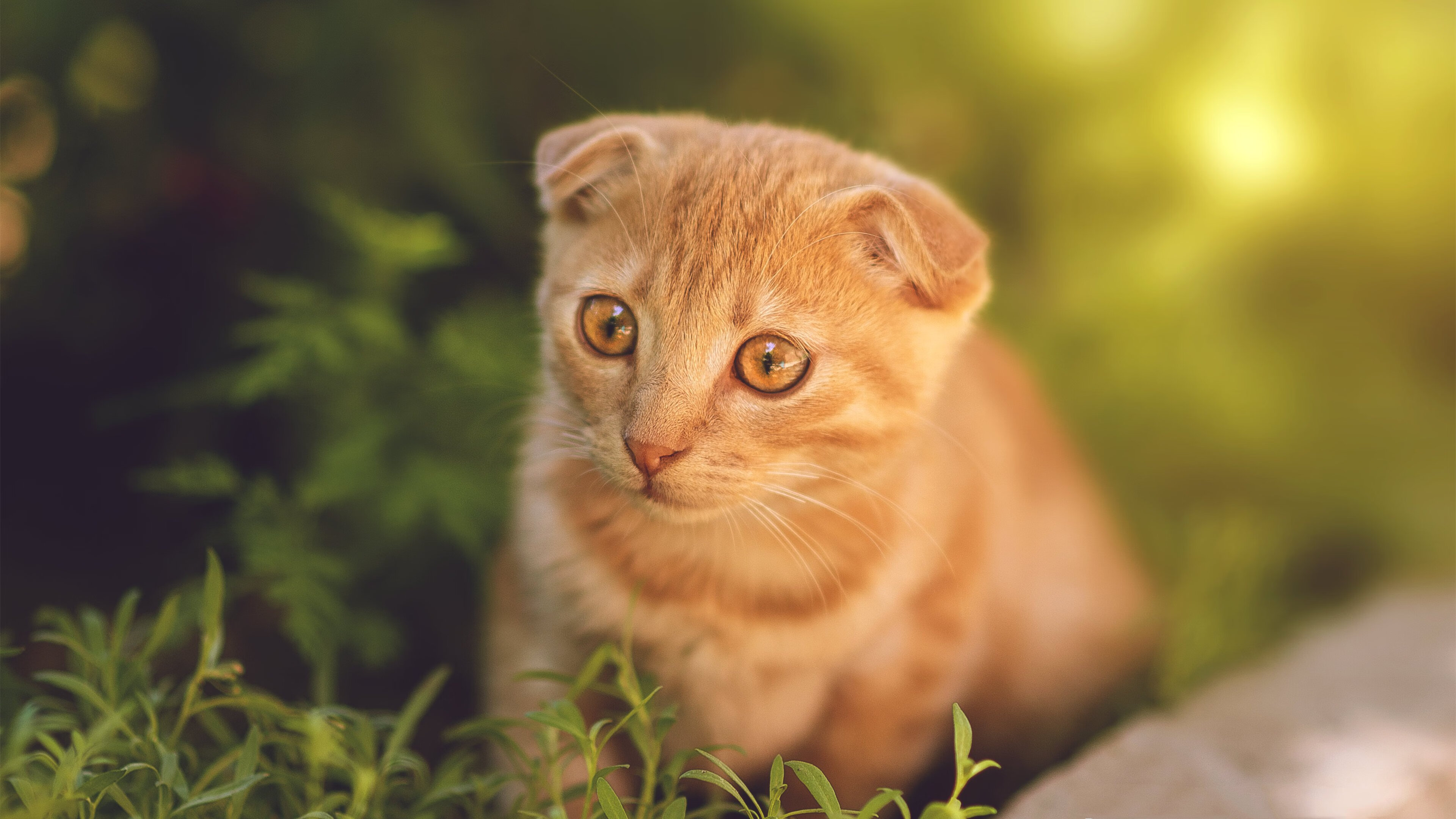 【热点战术】教练如何应对对手的特殊防守布置,教练员非常耐心不厌其烦地给队员们讲解战术安排