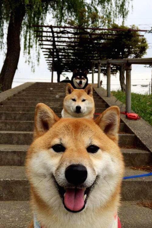 【热点战术】教练如何应对对手的特殊防守布置,教练员非常耐心不厌其烦地给队员们讲解战术安排